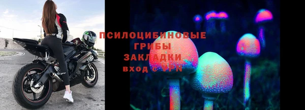 ECSTASY Балабаново