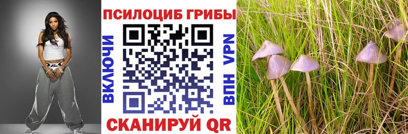 Галлюциногенные грибы MAGIC MUSHROOMS Гай